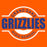 Grand Oaks Grizzlies Premium Orange T-shirt - Design 11