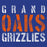 Grand Oaks Grizzlies Premium Royal Hoodie - Design 17