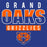 Grand Oaks Grizzlies Premium Royal Hoodie - Design 23