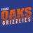 Grand Oaks Grizzlies Premium Royal T-shirt - Design 32