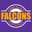 Jersey Village High School Falcons Purple Garment Design 11