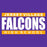 Jersey Village Falcons Premium Purple T-shirt - Design 98