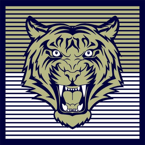 Klein Collins High School Tigers Navy Garment 27