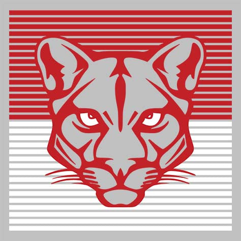 Close-up of Tomball Cougars Premium Grey Hoodie - Design 27