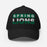 Spring Lions Flexfit Black Baseball Cap 201