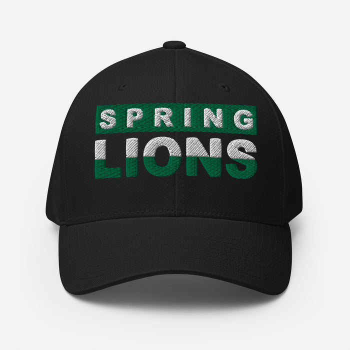 Spring Lions Flexfit Black Baseball Cap 201