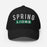 Spring Lions Flexfit Black Baseball Cap 203