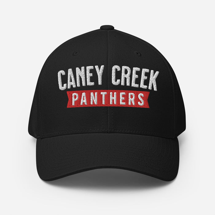 Caney Creek Panthers Flexfit Black Baseball Cap 203