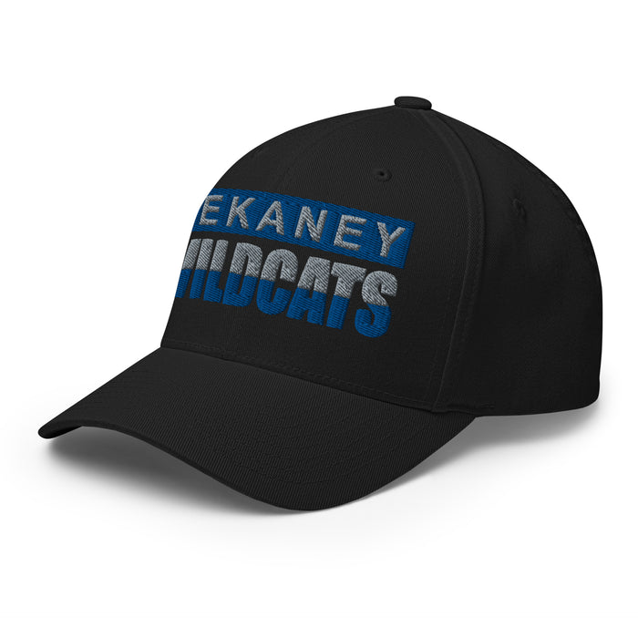 Dekaney Wildcats Flexfit Black Baseball Cap 201