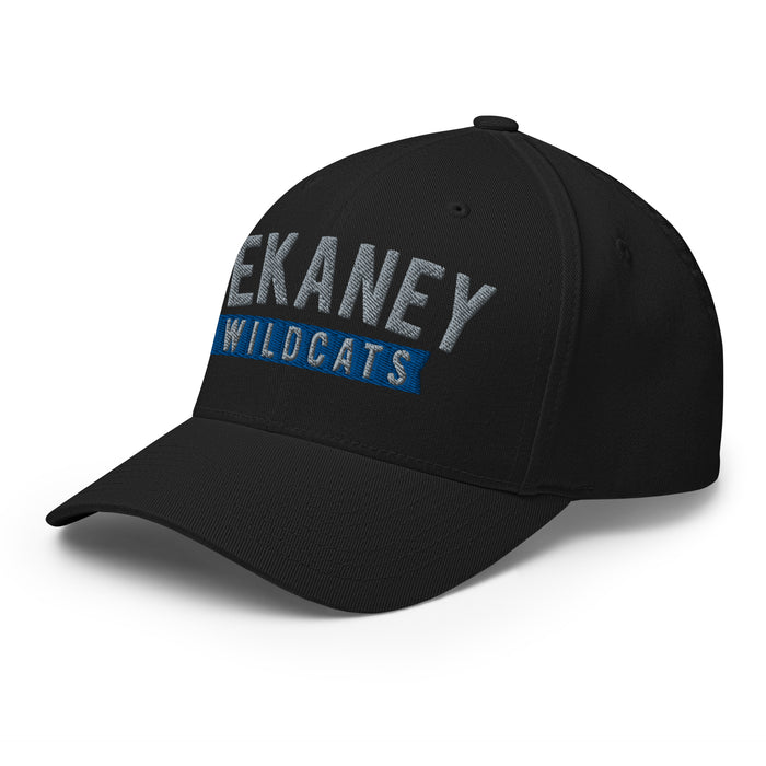 Dekaney Wildcats Flexfit Black Baseball Cap 203