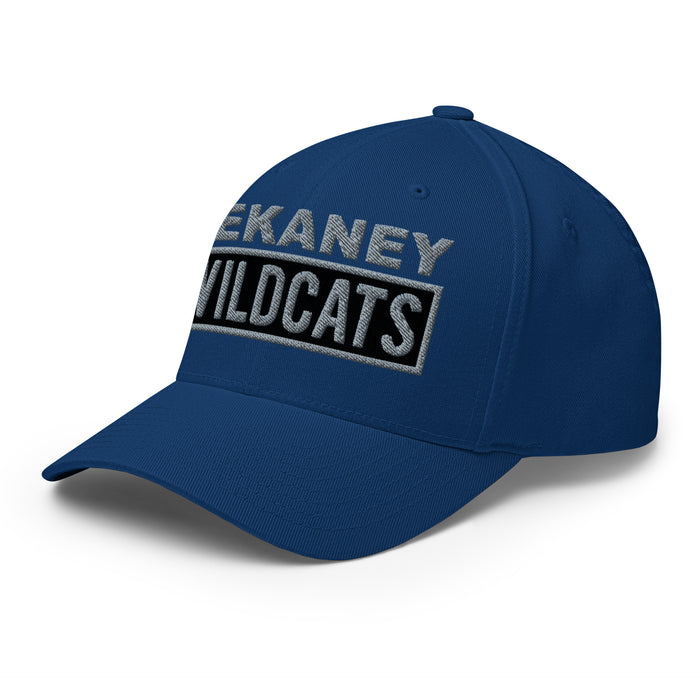 Dekaney Wildcats Flexfit Royal Baseball Cap 202