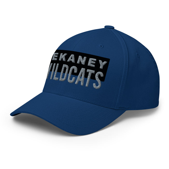 Dekaney Wildcats Flexfit Royal Baseball Cap 204