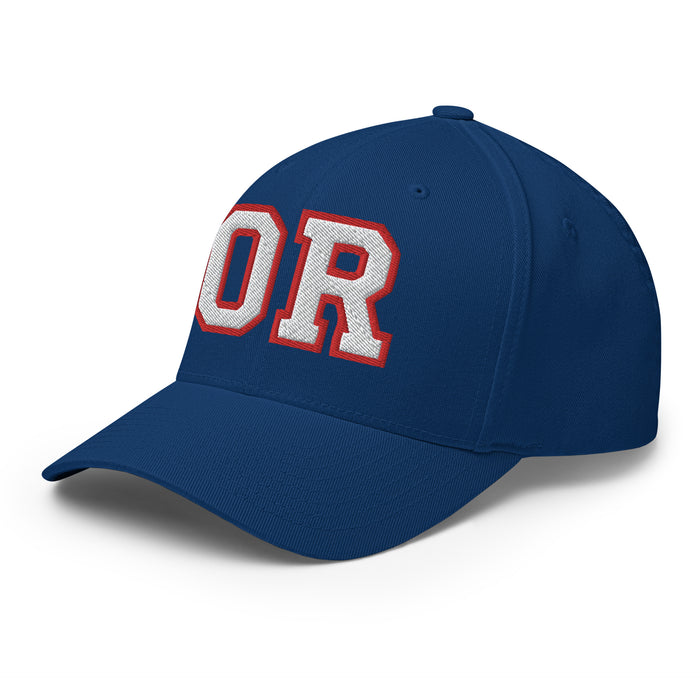 Oak Ridge War Eagles Flexfit Royal Baseball Cap 206