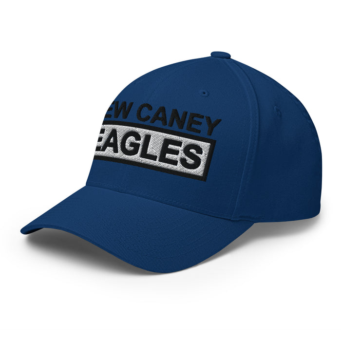 Side view of New Caney Eagles Flexfit Royal Blue Baseball Cap 202